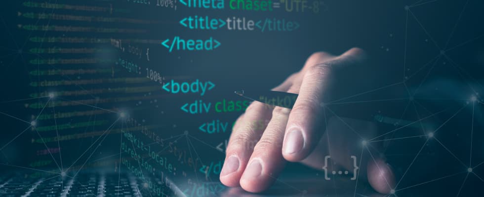 React + Wordpress разработка